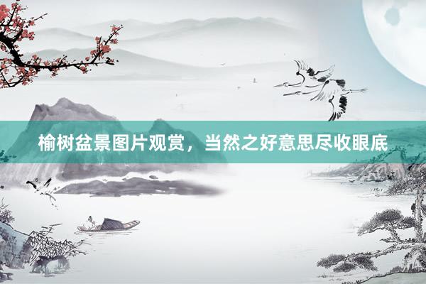 榆树盆景图片观赏，当然之好意思尽收眼底