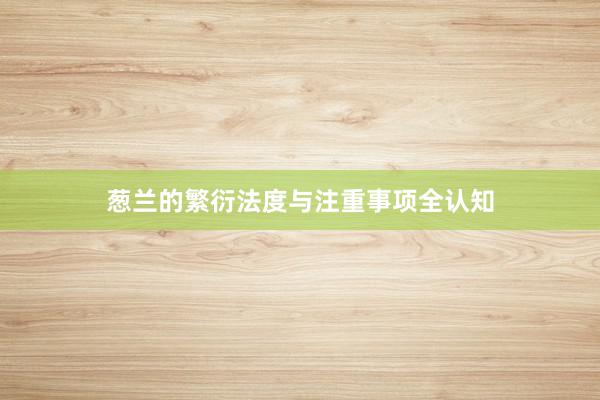 葱兰的繁衍法度与注重事项全认知