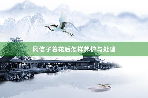 风信子着花后怎样养护与处理